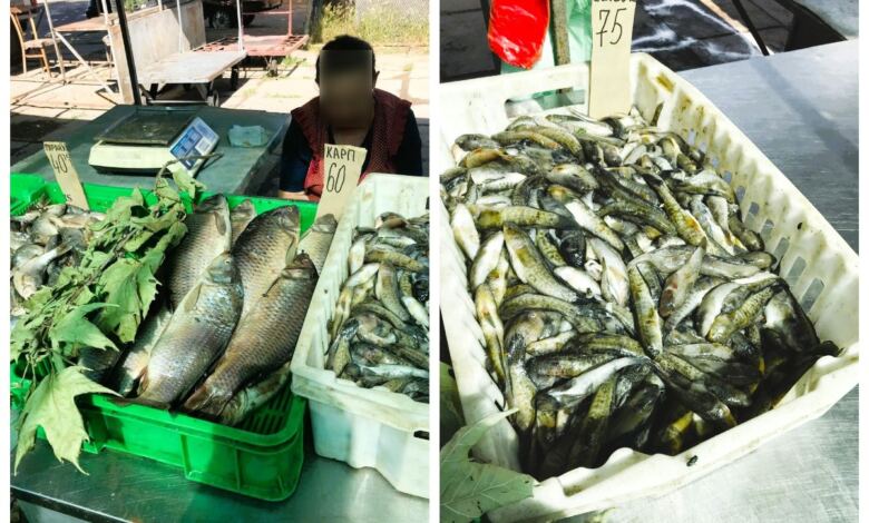 Торговка рибою на "Колосі"