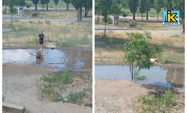 Аварійний виток на пр. Корабелів