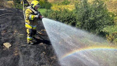 ДСНС України в Миколаївській області гасили 31 пожежу