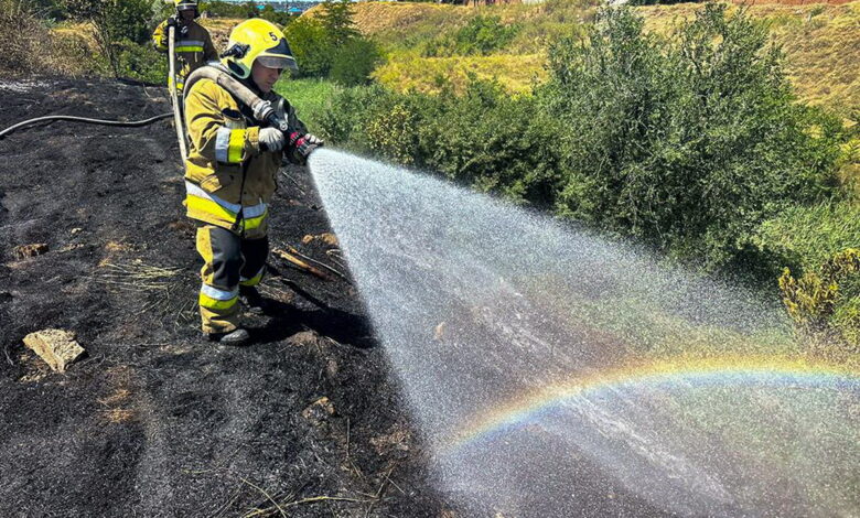 ДСНС України в Миколаївській області гасили 31 пожежу