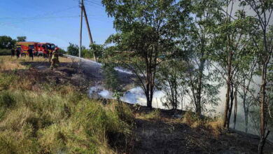 Пожежа на Миколаївщині