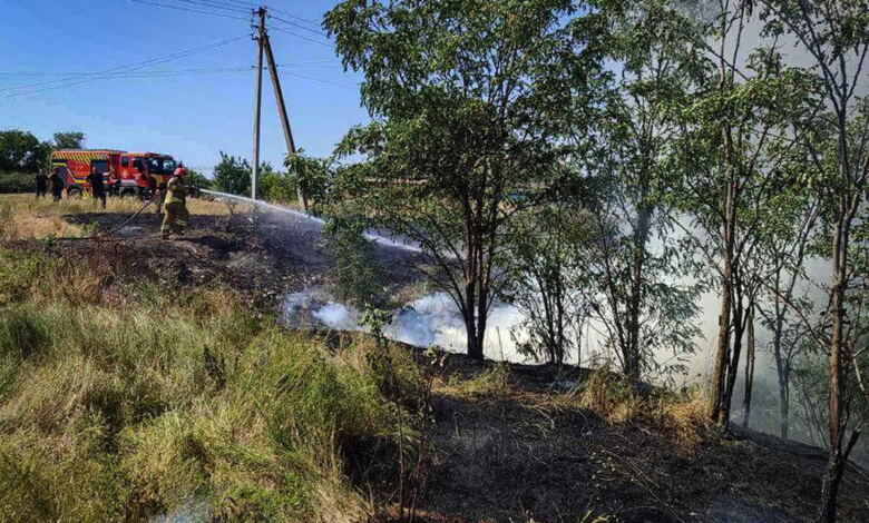 Пожежа на Миколаївщині