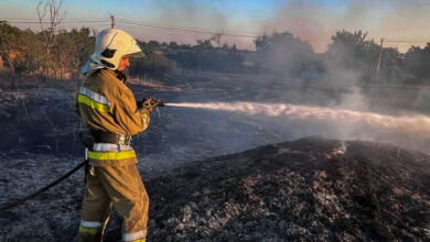 Пожежа на відкритій території