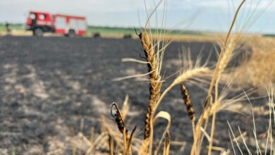 Пожежа на полі внаслідок обстрілу