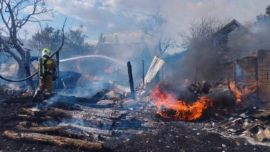 ДСНС загасили пожежу