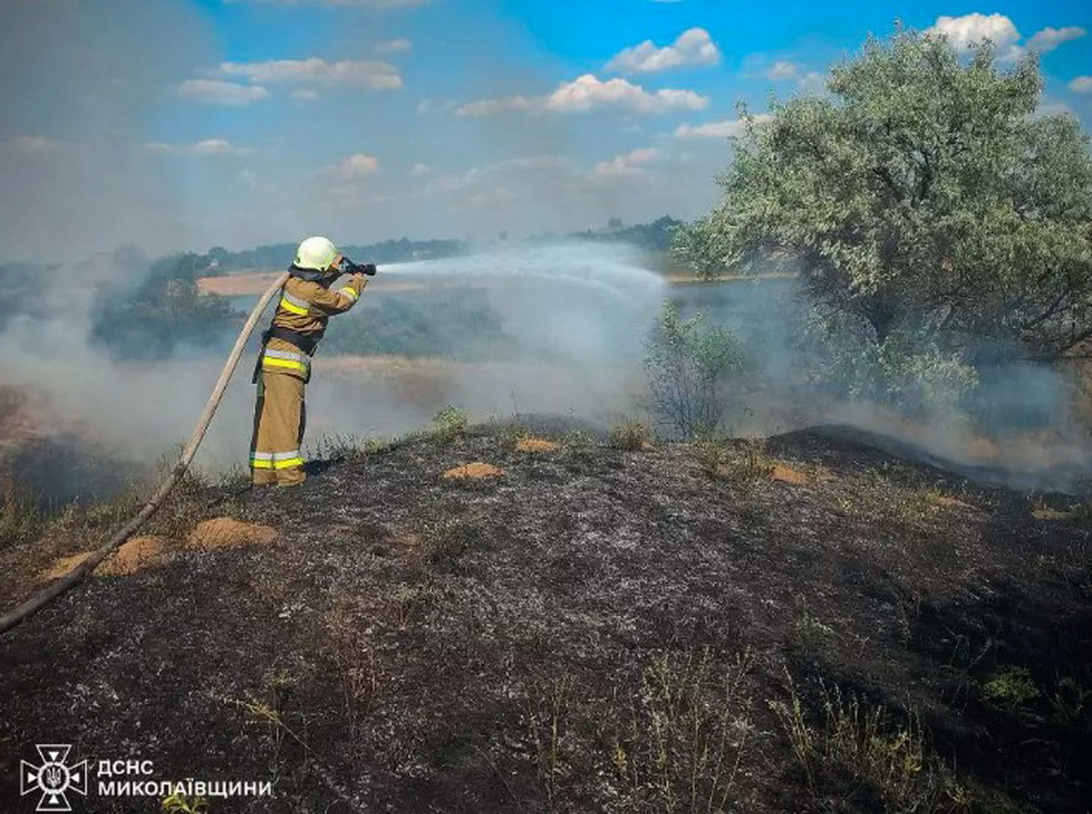 ДСНС загасили пожежу в полі
