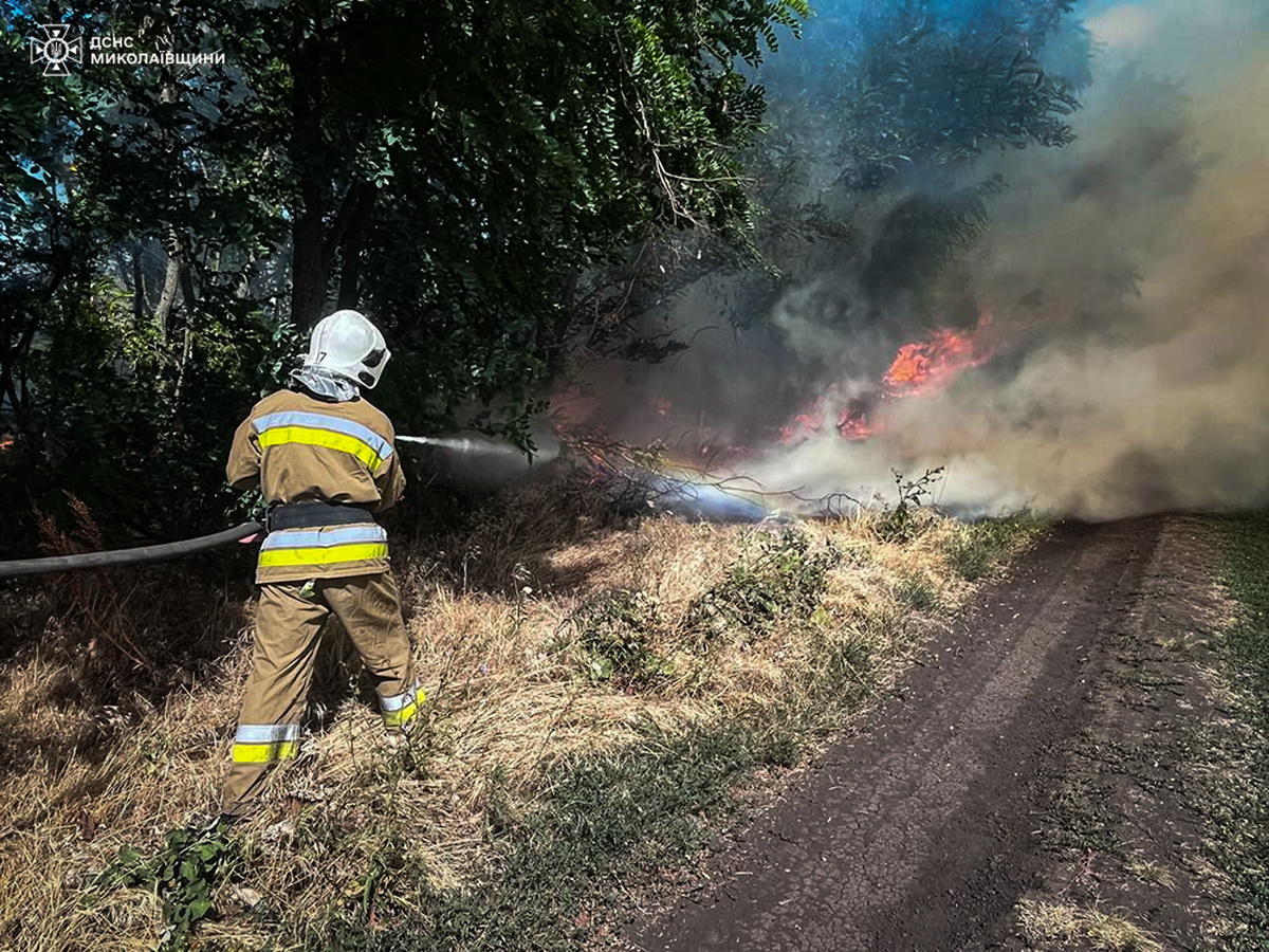 Горіння сухої трави