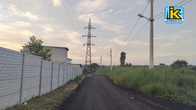 Рибна