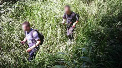 Втікачі з України