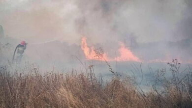 Пожежа на відкритій території