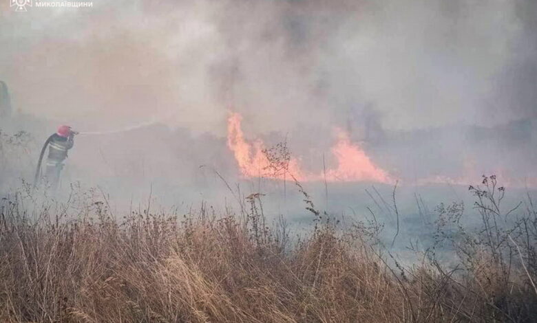 Пожежа на відкритій території