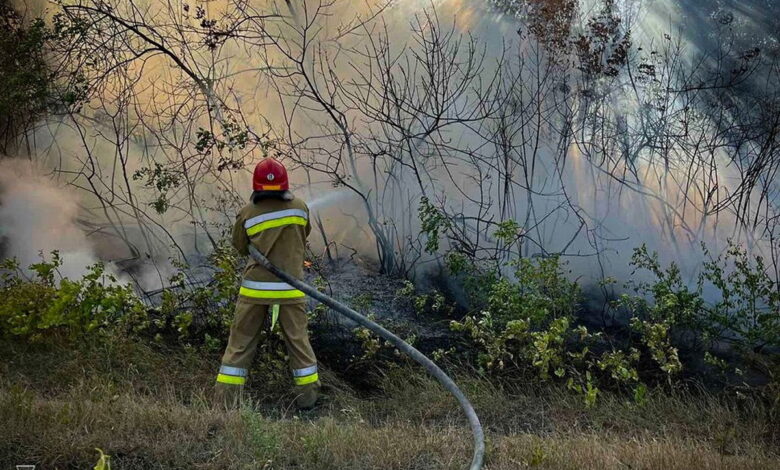 Пожежа в екосистемі