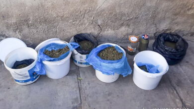 вилучено близько 14 кілограмів наркотичних речовин