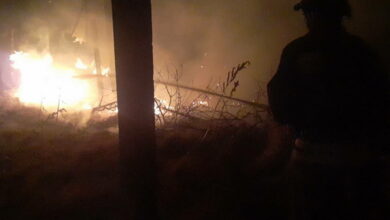 Пожежа на Миколаївщині