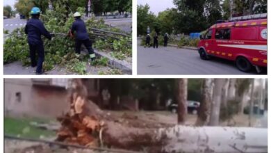 Повалені вітром дерева в Миколаєві