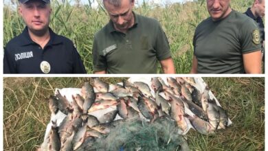 Затримано рибалку-браконьєра
