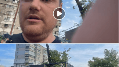 Коваленко про спил дерев