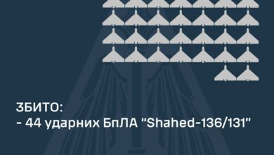 Збиття ворожих дронів