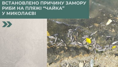 Про причини замору (фото Держекоінспекції)