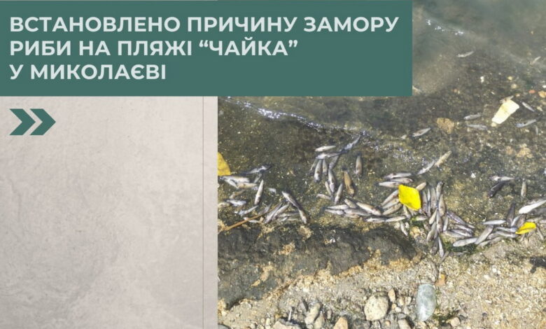 Про причини замору (фото Держекоінспекції)
