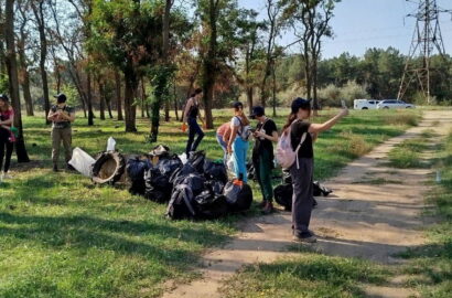 Прибирання сміття в Балабанівському лісі