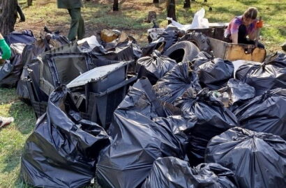 Прибирання сміття в Балабанівському лісі