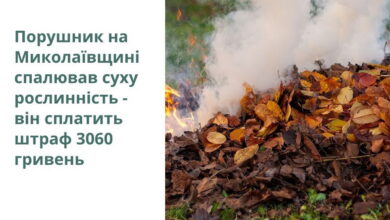 Дорогі вогнища