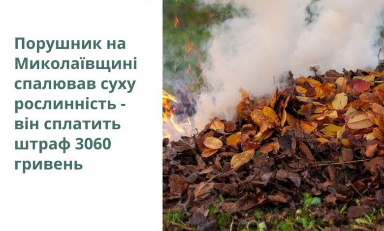 Дорогі вогнища