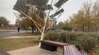 "Сонячне дерево"