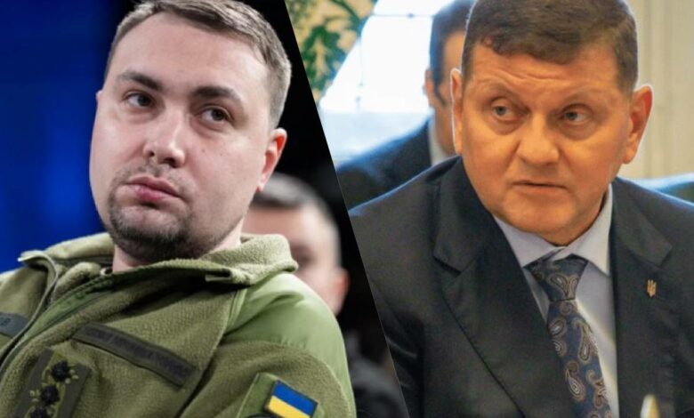 Буданов, Залужний