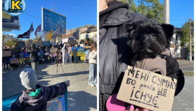 Акція на підтримку військовополонених та зниклих безвісти військовослужбовців