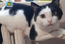 Опалення в Миколаєві