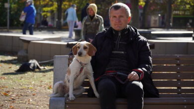 Прилаштування тварин