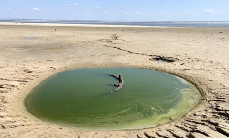 опустелювання
