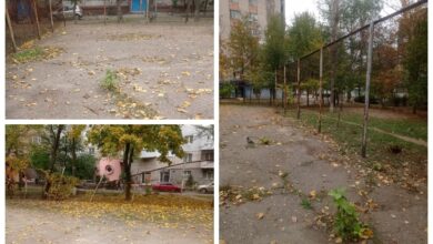 спортмайданчик по Океанівській, 22