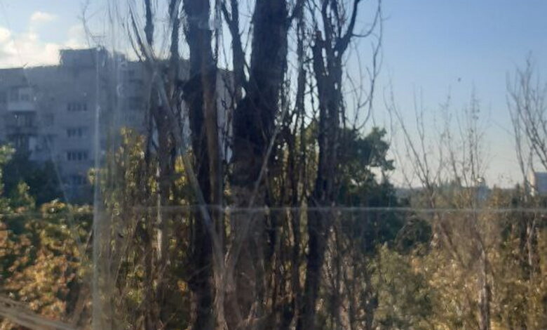 Суха тополя