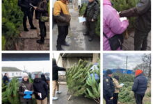 ялинка, рейд