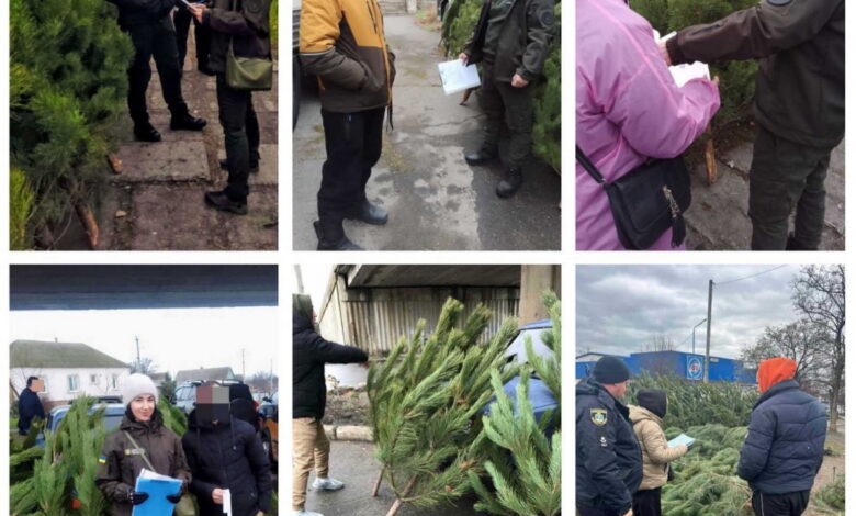 ялинка, рейд