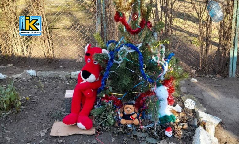 31.12.2024 в Корабельному районі Миколаєва