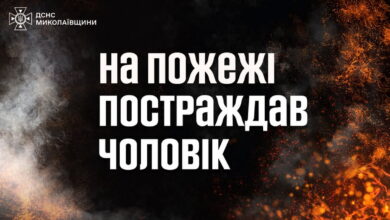 Повідомляє ДСНС