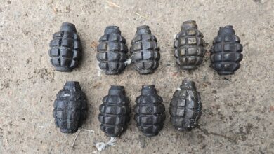 Вилучені гранати