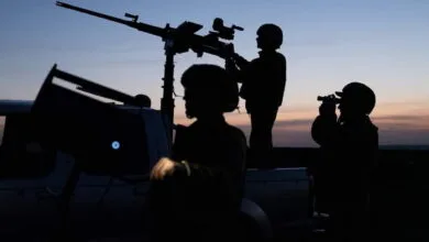 Полювання на ворожі дрони