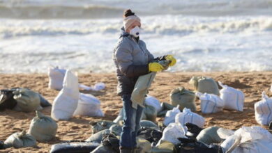 збір забрудненого мазутом піску в російській Анапі