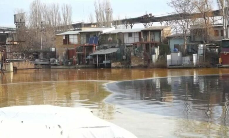 Олія у Південному Бузі