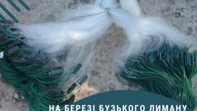 Знаряддя незаконної ловлі