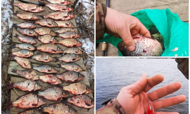 Здобич та знаряддя браконьєра