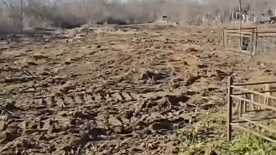 Рекультивація кладовища