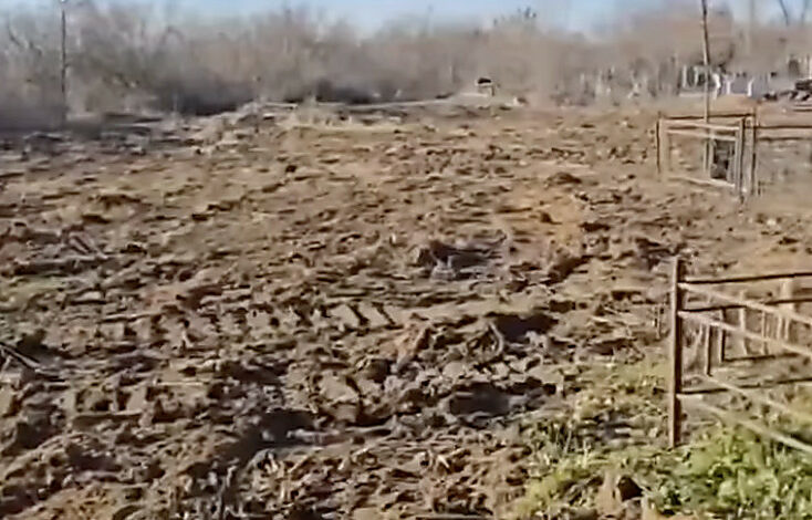 Рекультивація кладовища