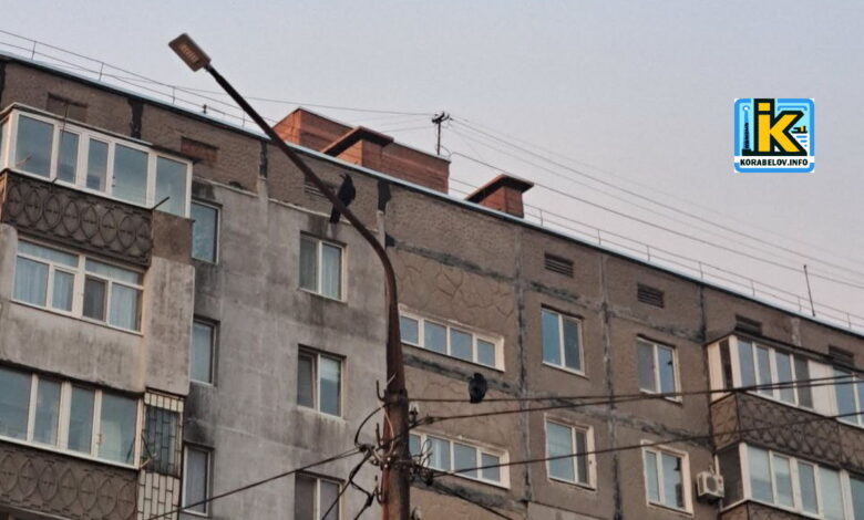 Вул. Океанівська