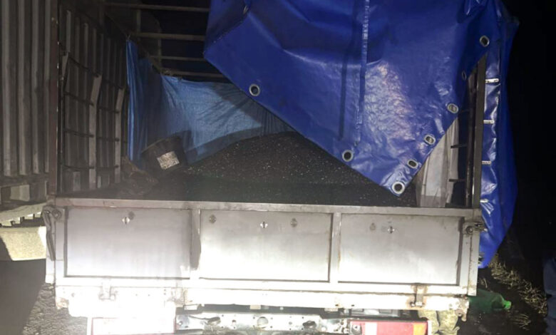 Лісосмуга. Ніч. Вкрадений соняшник.